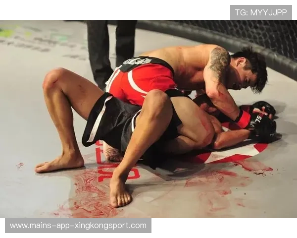 MMA裁判尺度统一化提升比赛观感