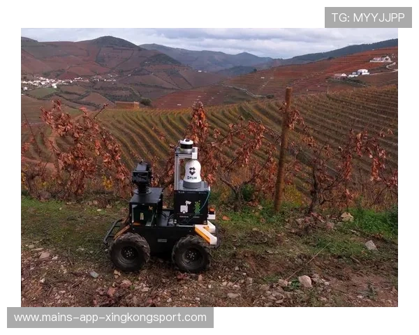 波尔图靠精准直塞制造绝佳时机，掌控比赛的关键武器